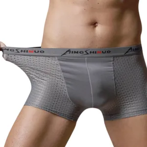 Sexy Ice Silk Modal Boxer